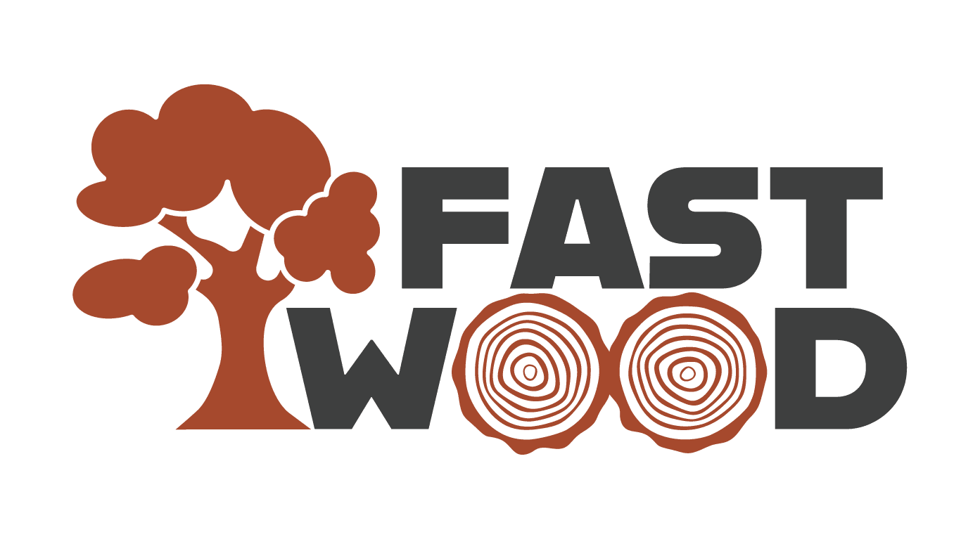 News 4 Holzbau Kompetenz Sachsen GmbH – Logo FastWood farbig