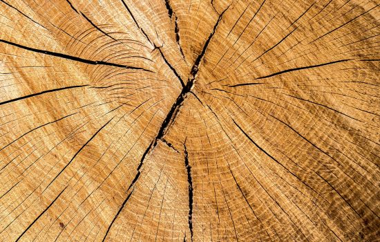holz_zentriert
